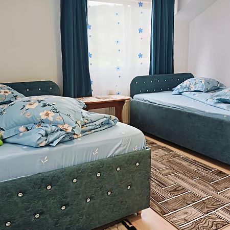 Casa Emilia Ξενοδοχείο Vatra Dornei Εξωτερικό φωτογραφία
