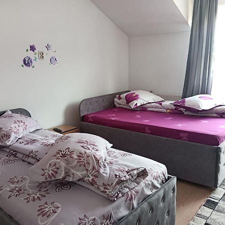 Casa Emilia Ξενοδοχείο Vatra Dornei Εξωτερικό φωτογραφία