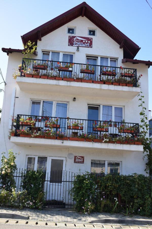Casa Emilia Ξενοδοχείο Vatra Dornei Εξωτερικό φωτογραφία