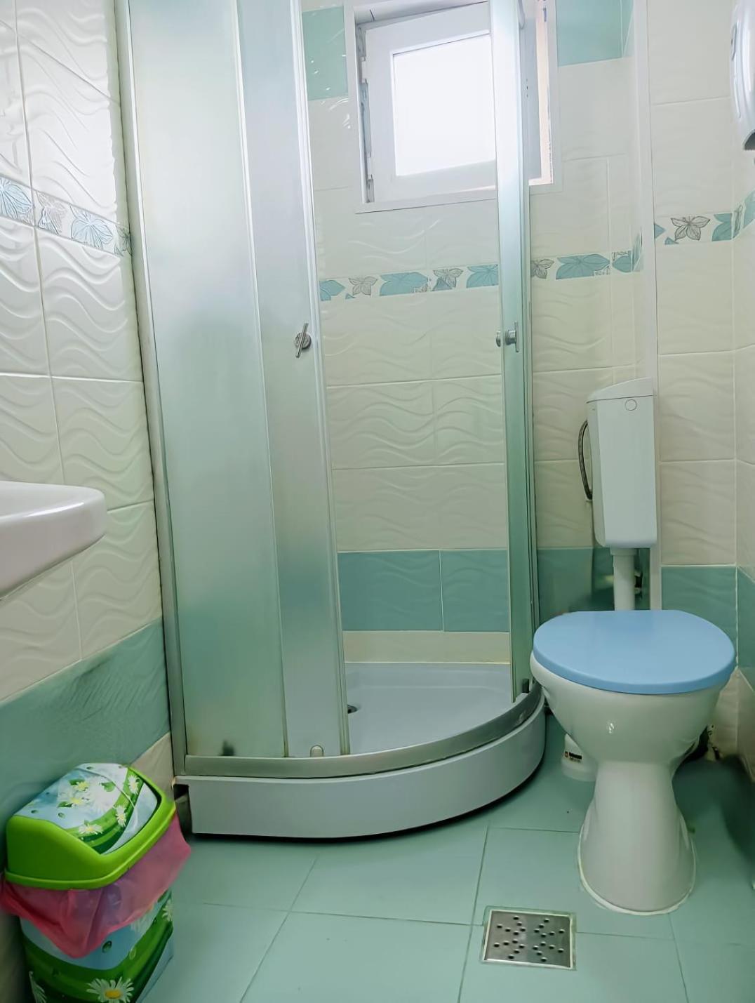 Casa Emilia Ξενοδοχείο Vatra Dornei Εξωτερικό φωτογραφία