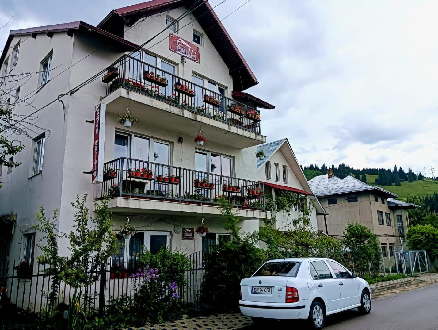 Casa Emilia Ξενοδοχείο Vatra Dornei Εξωτερικό φωτογραφία