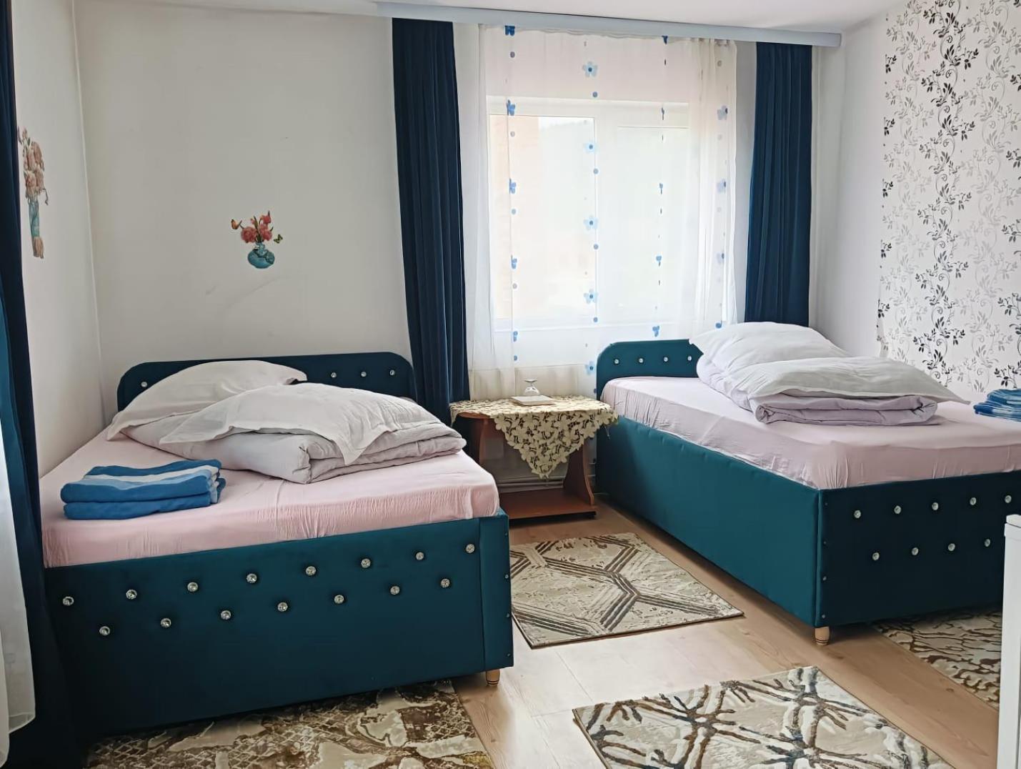 Casa Emilia Ξενοδοχείο Vatra Dornei Εξωτερικό φωτογραφία