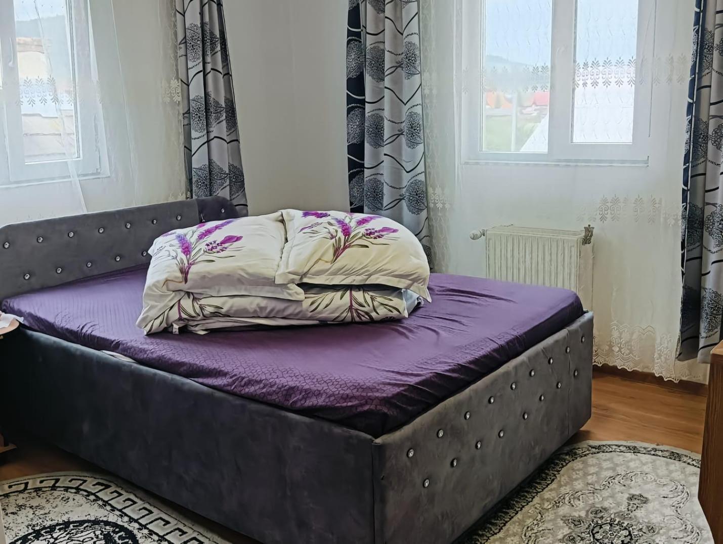 Casa Emilia Ξενοδοχείο Vatra Dornei Εξωτερικό φωτογραφία