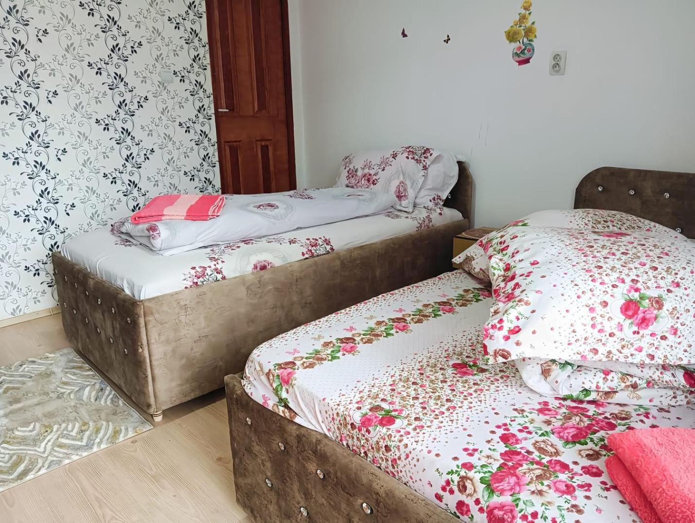 Casa Emilia Ξενοδοχείο Vatra Dornei Εξωτερικό φωτογραφία