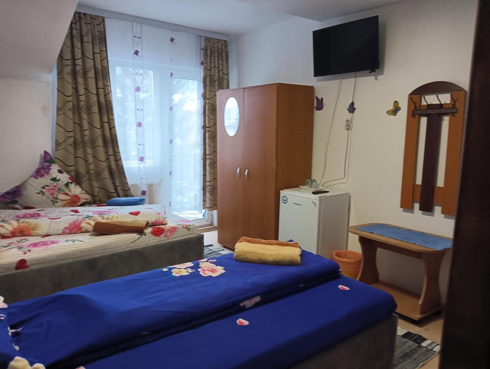 Casa Emilia Ξενοδοχείο Vatra Dornei Εξωτερικό φωτογραφία