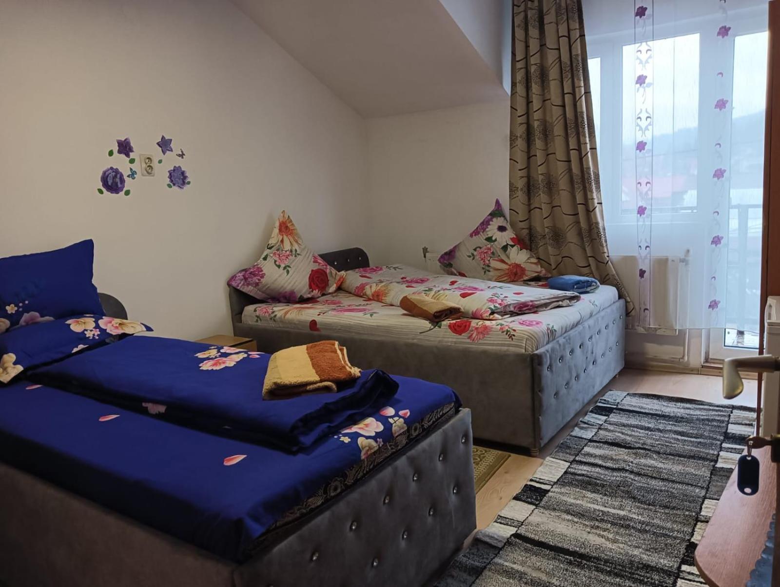 Casa Emilia Ξενοδοχείο Vatra Dornei Εξωτερικό φωτογραφία