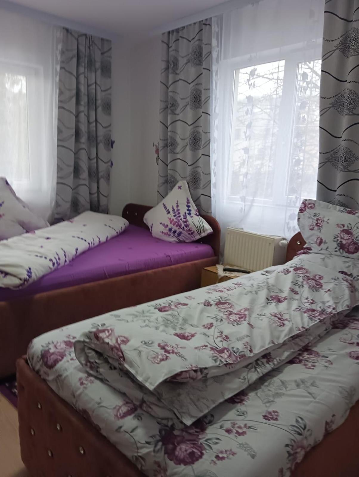 Casa Emilia Ξενοδοχείο Vatra Dornei Δωμάτιο φωτογραφία