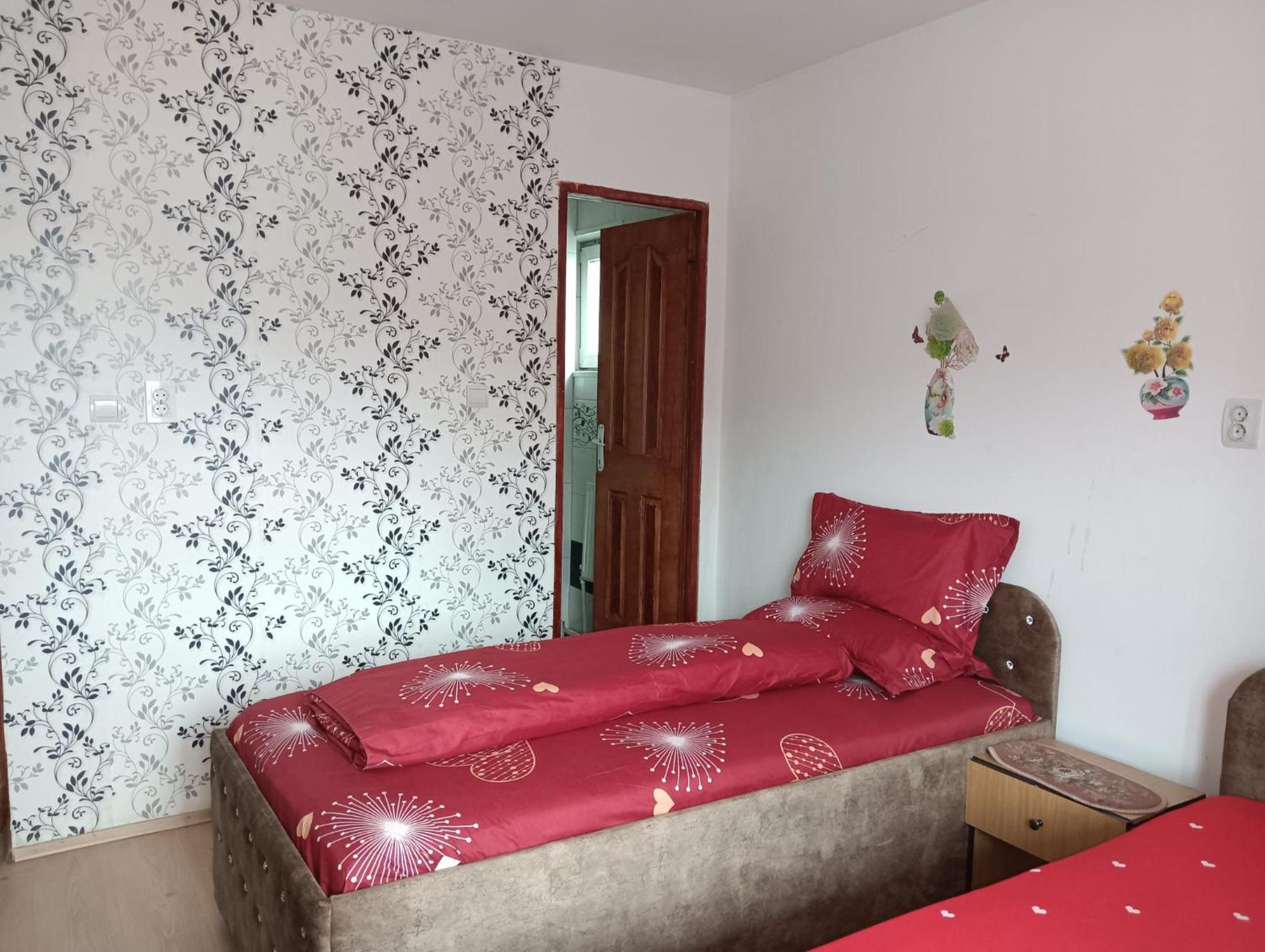 Casa Emilia Ξενοδοχείο Vatra Dornei Εξωτερικό φωτογραφία
