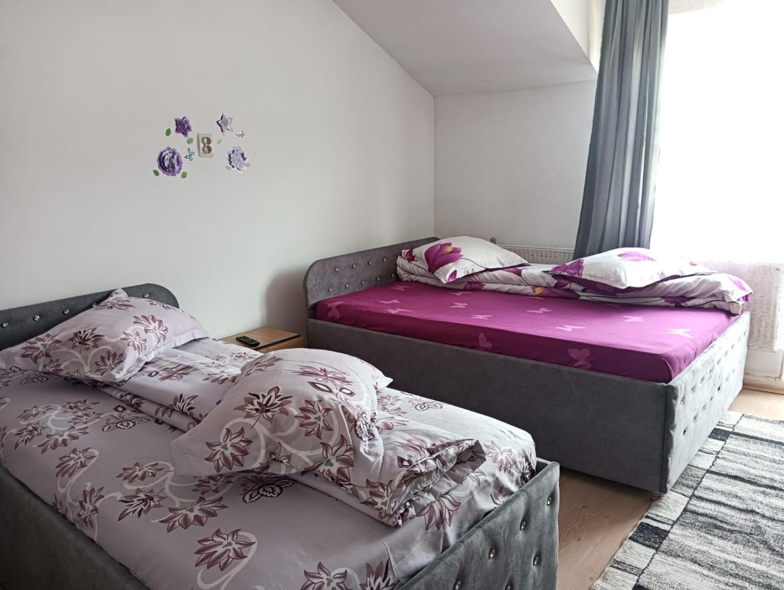 Casa Emilia Ξενοδοχείο Vatra Dornei Εξωτερικό φωτογραφία