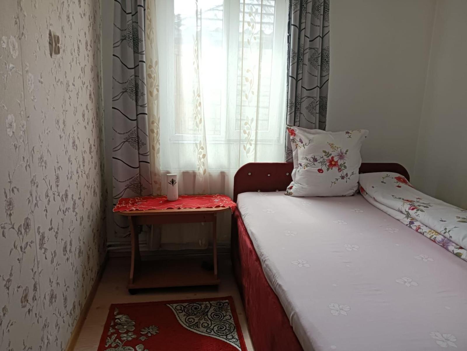 Casa Emilia Ξενοδοχείο Vatra Dornei Εξωτερικό φωτογραφία