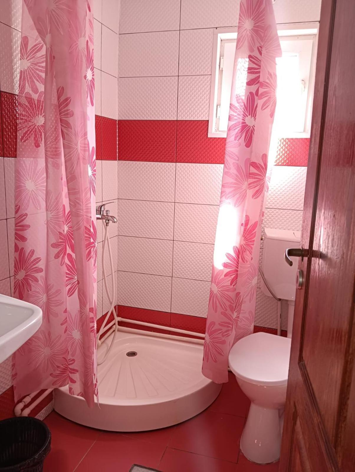 Casa Emilia Ξενοδοχείο Vatra Dornei Εξωτερικό φωτογραφία