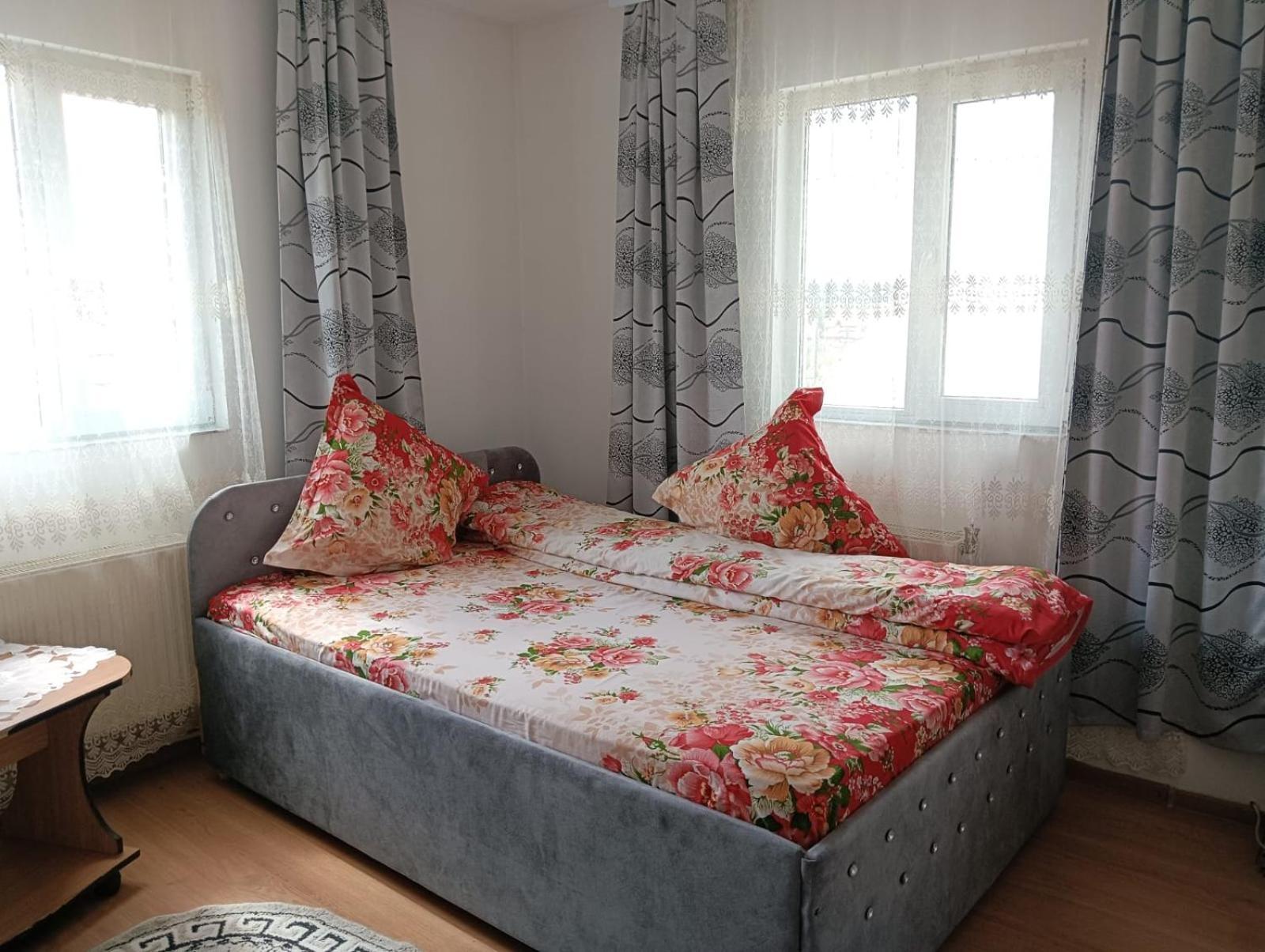Casa Emilia Ξενοδοχείο Vatra Dornei Εξωτερικό φωτογραφία