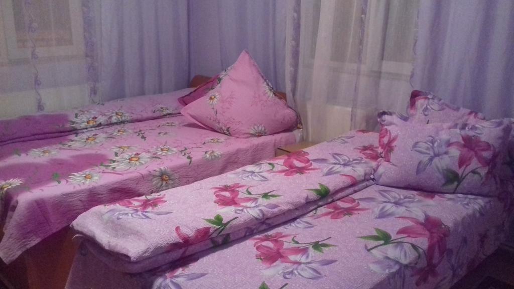 Casa Emilia Ξενοδοχείο Vatra Dornei Εξωτερικό φωτογραφία